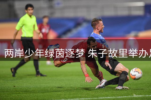 两岸少年绿茵逐梦 朱子故里举办足球盛宴